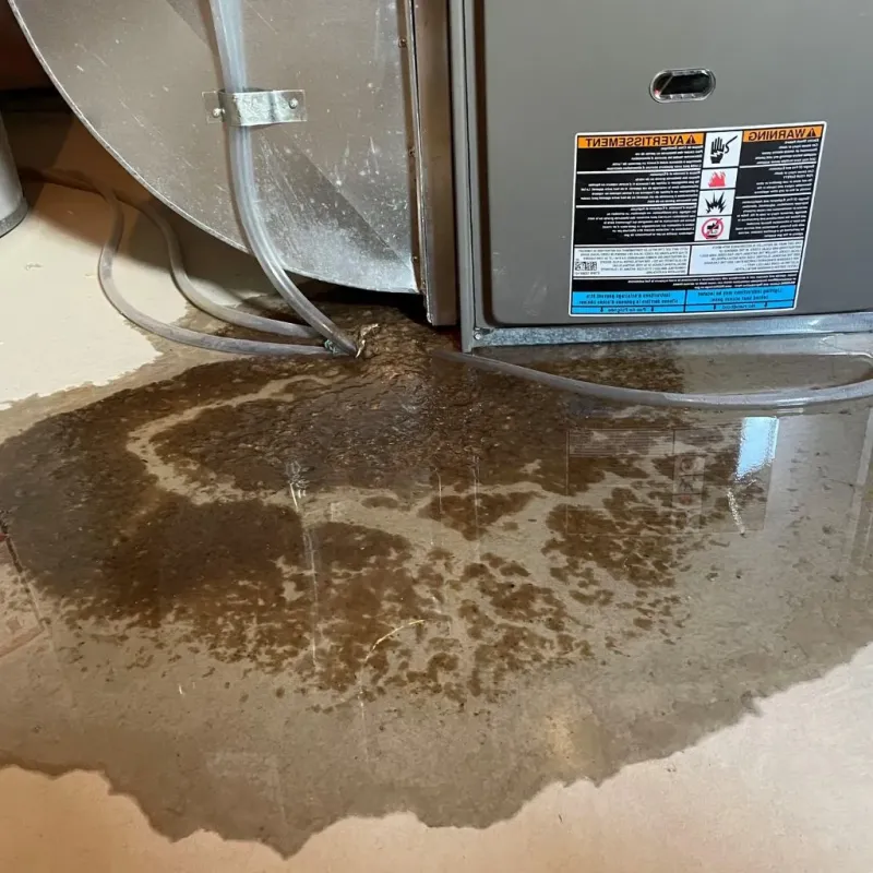 Pipe Burst and Leak Restoration in Lincoln County, OR